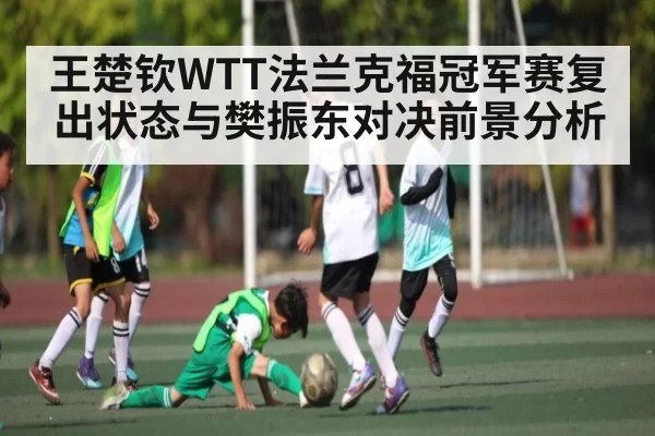 王楚钦WTT法兰克福冠军赛复出状态与樊振东对决前景分析